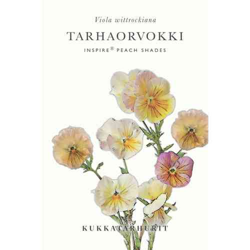 Tarhaorvokki 'Inspire® Peach Shades'