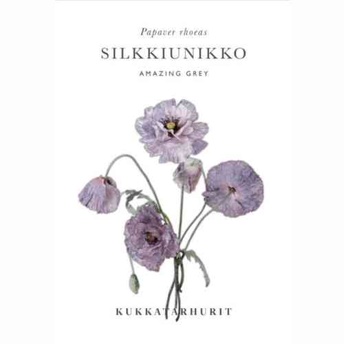 Silkkiunikko 'Amazing Grey'