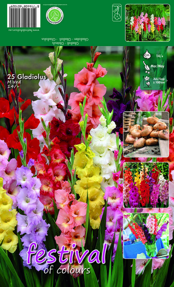 Gladiol mix 25 st