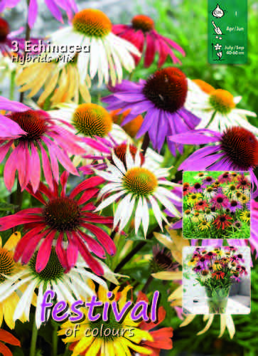 Tarhapunahattu 'Butterfly mix'
