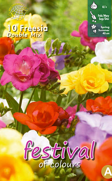 Freesia dubbla mix