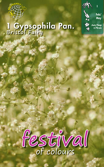 Brudslöja 'Bristol Fairy'
