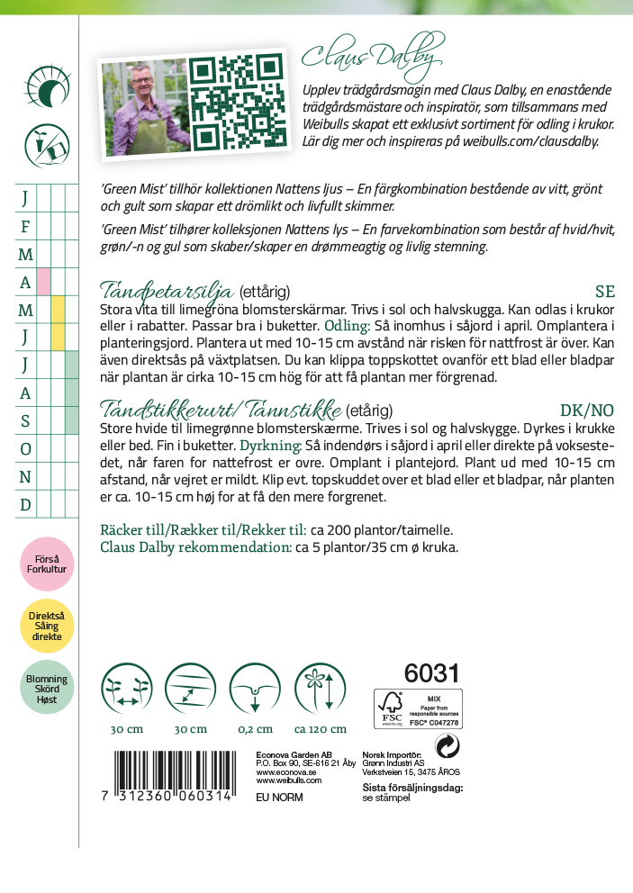 Tandpetarsilja 'Green Mist'