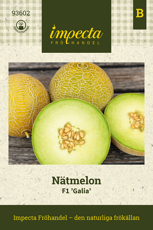 Nätmelon F1 'Galia'