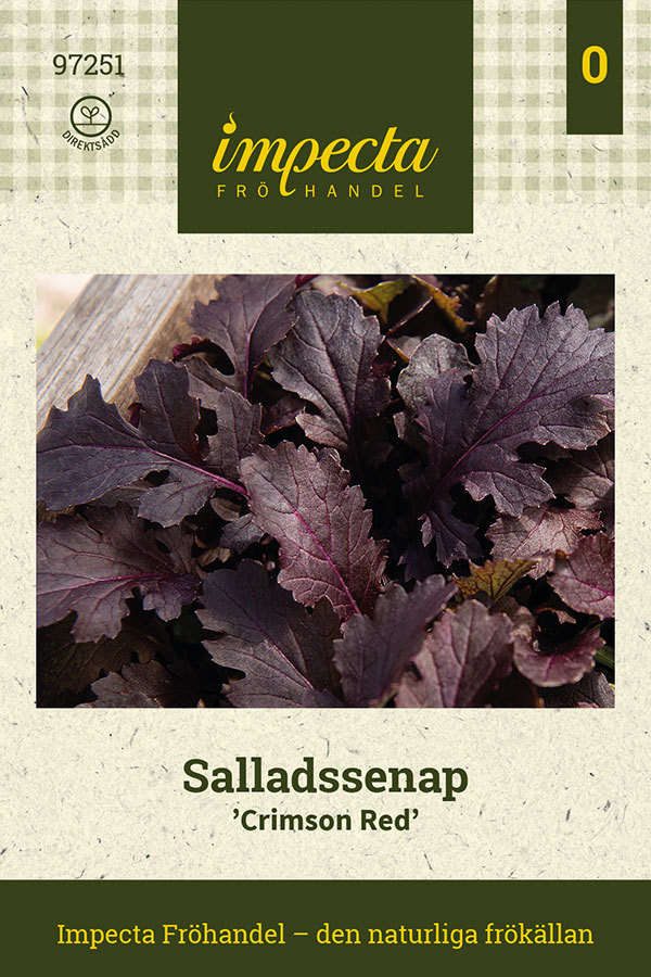 Salladssenap 'Crimson Red'