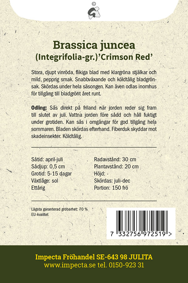 Salladssenap 'Crimson Red'