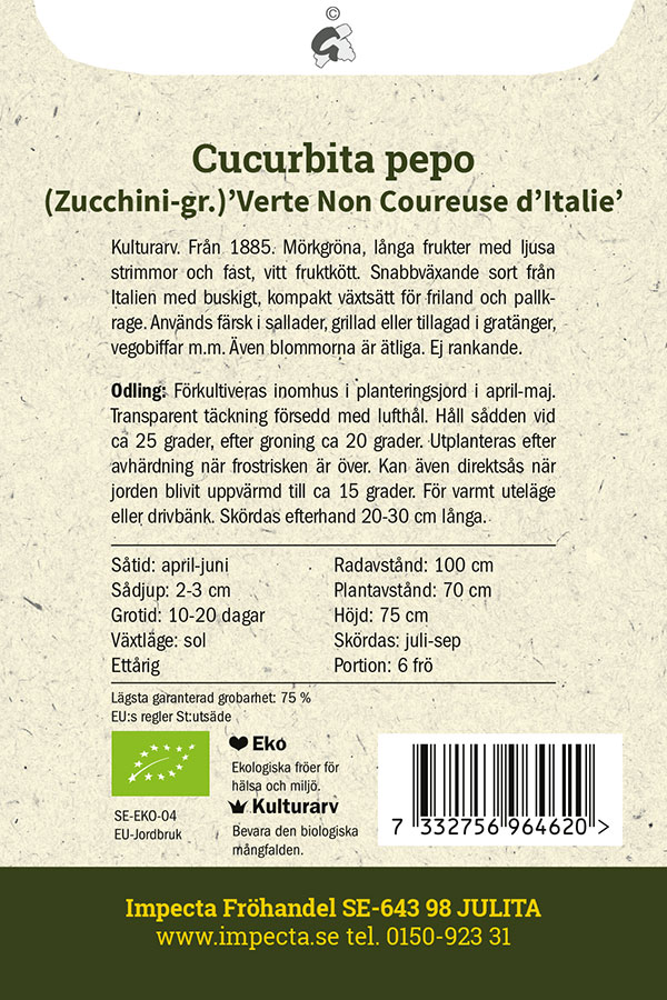 EKO Squash 'Verte Non Coureuse d'Italie'