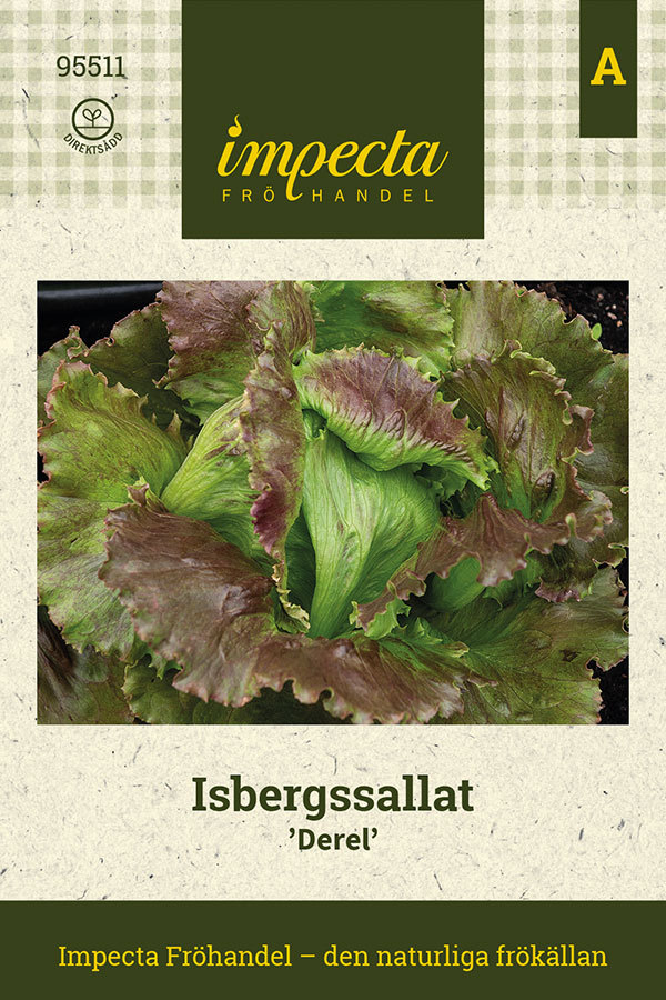 Isbergssallat 'Derel'