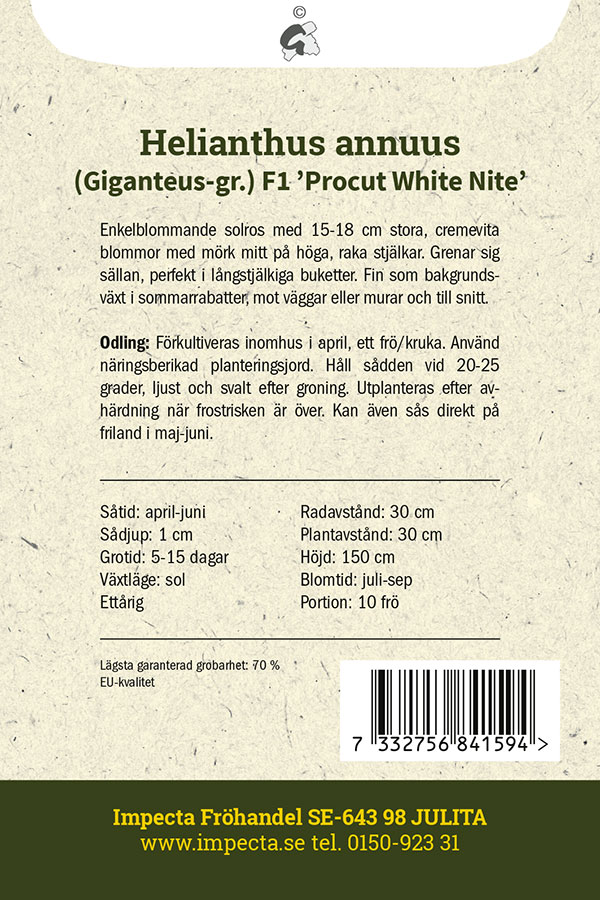 Auringonkukka F1 'Procut White Nite'