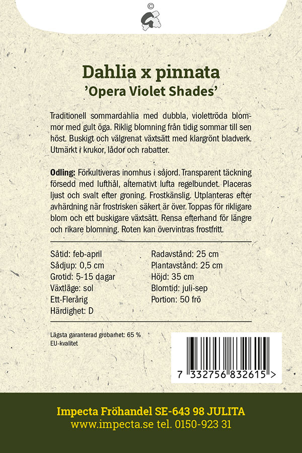 Kesädaalia 'Opera Violet Shades'