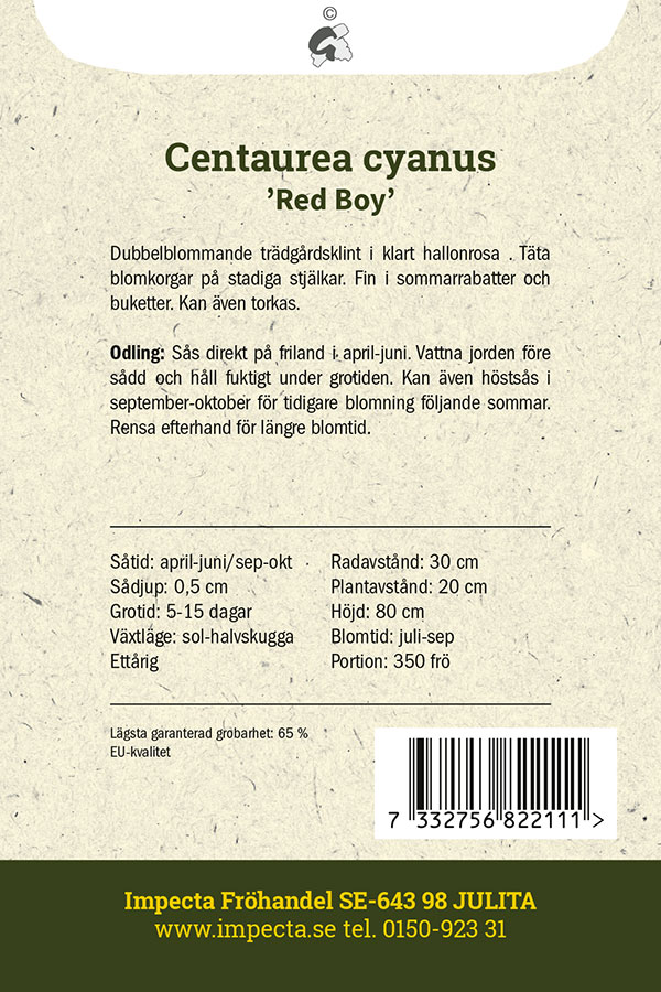 Blåklint 'Red Boy'