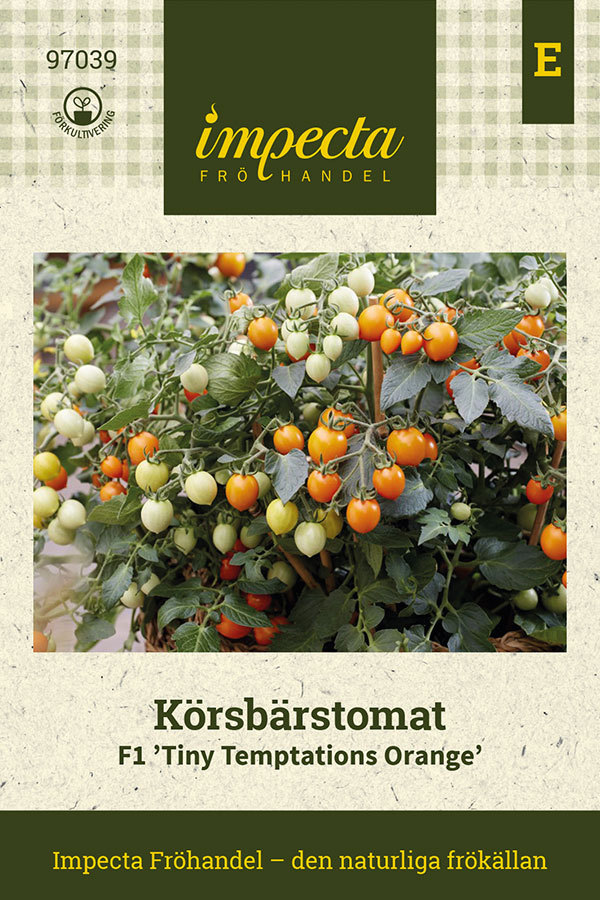 Pensastomaatti F1 'Tiny Temptations Orange'