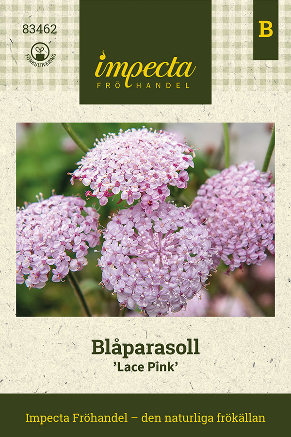 Blåparasoll 'Lace Pink'