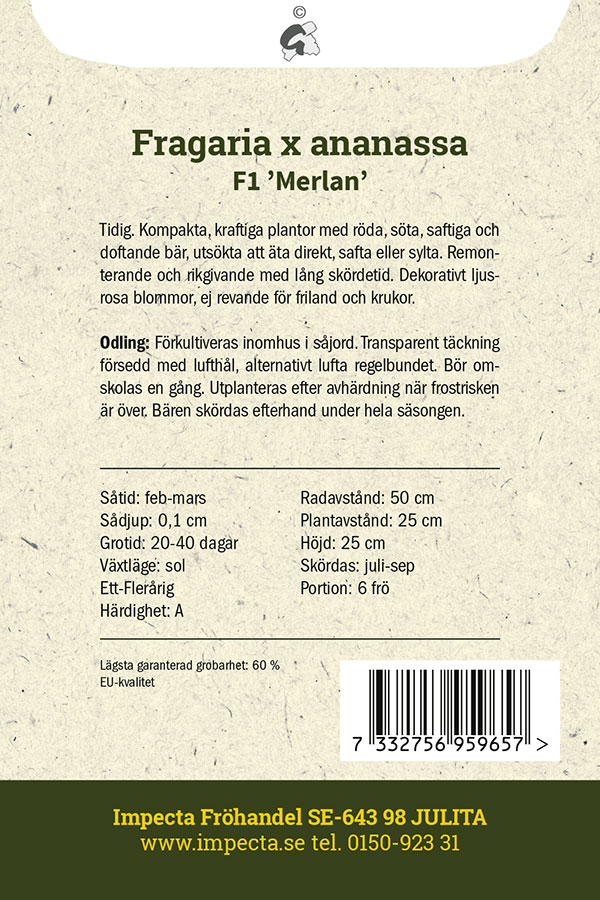 Jordgubbe F1 'Merlan'
