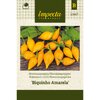 Havannapaprika 'Biquinho Amarela'