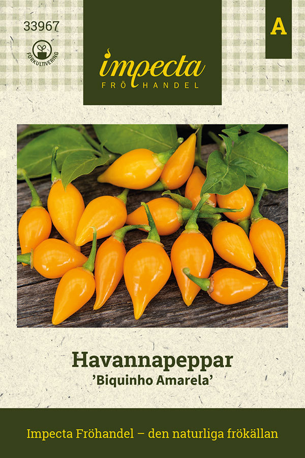 Havannapeppar 'Biquinho Amarela'