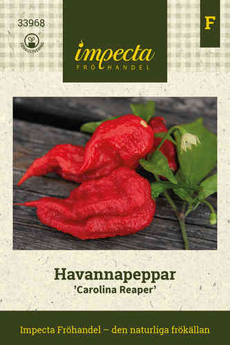 Havannapeppar 'Carolina Reaper'