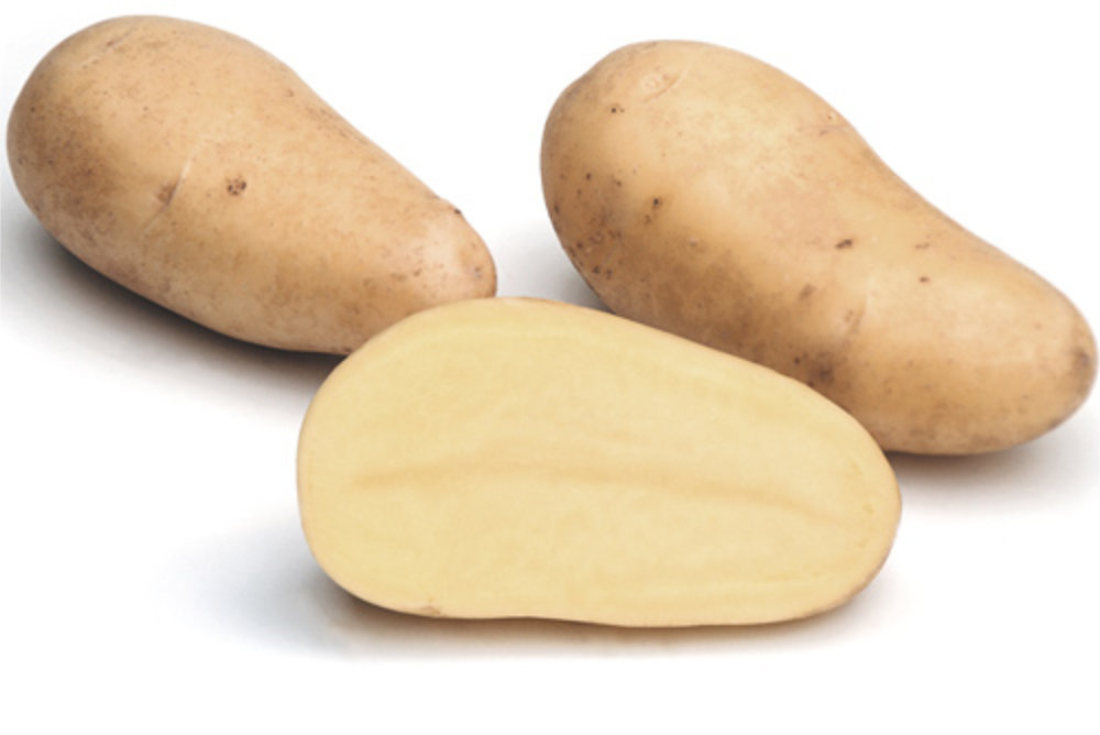 Annabelle' sättpotatis 5 kg