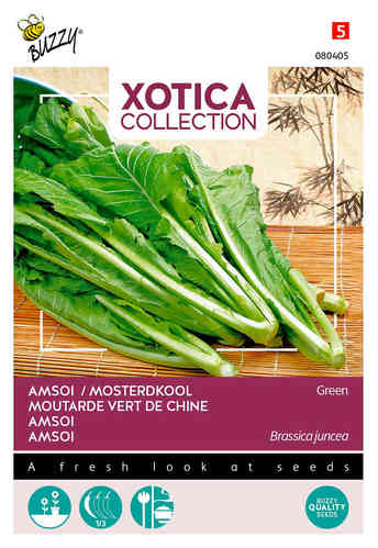 Xotica Amsoi grönbladig, Gai Choy, sareptasenap