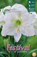 Amaryllis vit