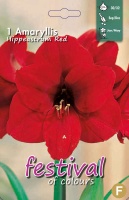 Amaryllis röd