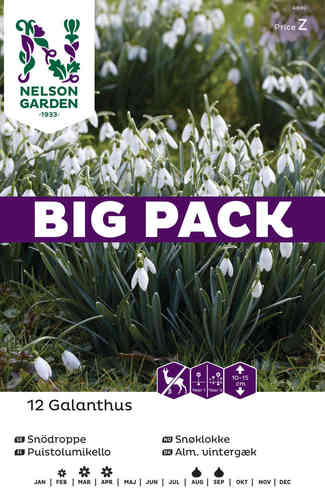 Puistolumikello Big Pack