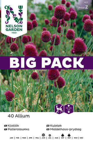 Pallerolaukka Big Pack