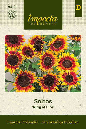 Solros 'Ring of Fire'