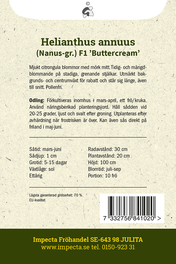 Liten Solros F1 'Buttercream'