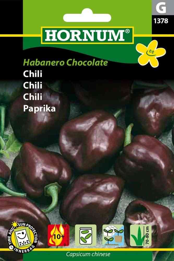 Chili 'Habanero Chocolate'