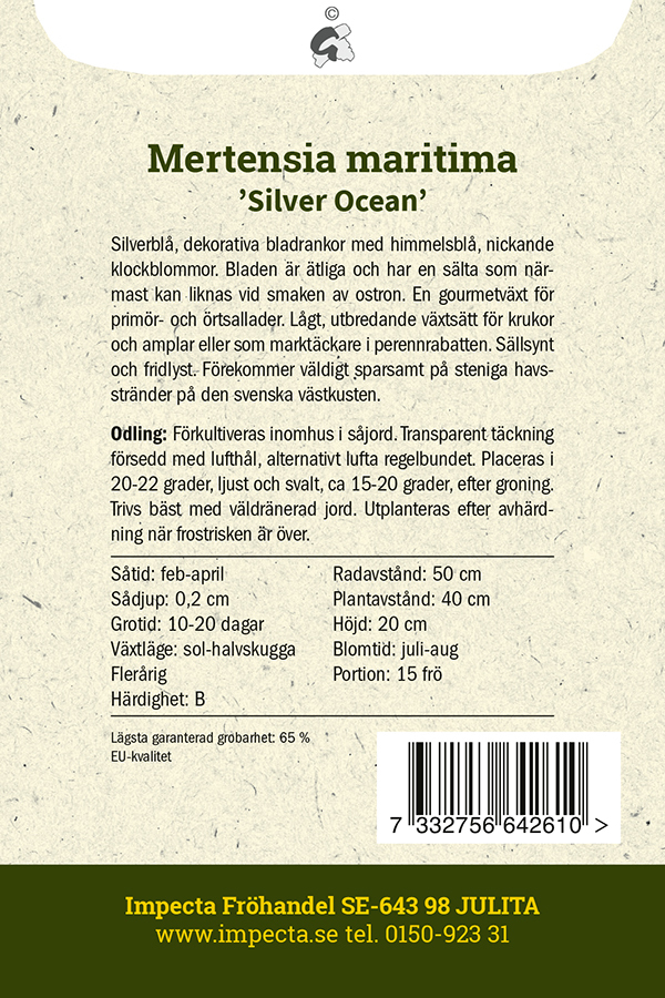 Ostronört 'Silver Ocean'