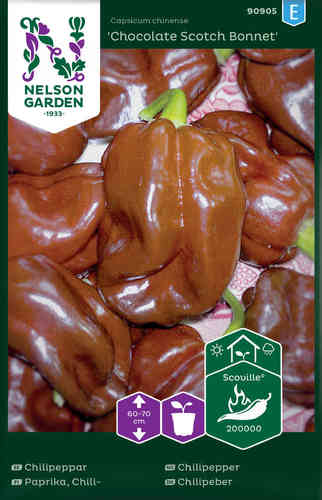 Chilipaprika 'Chocolate Scotch Bonnet'