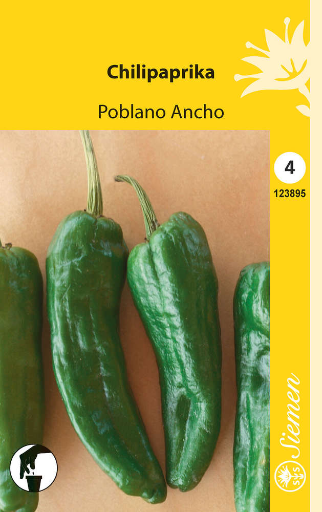 Chilipaprika 'Poblano Ancho'