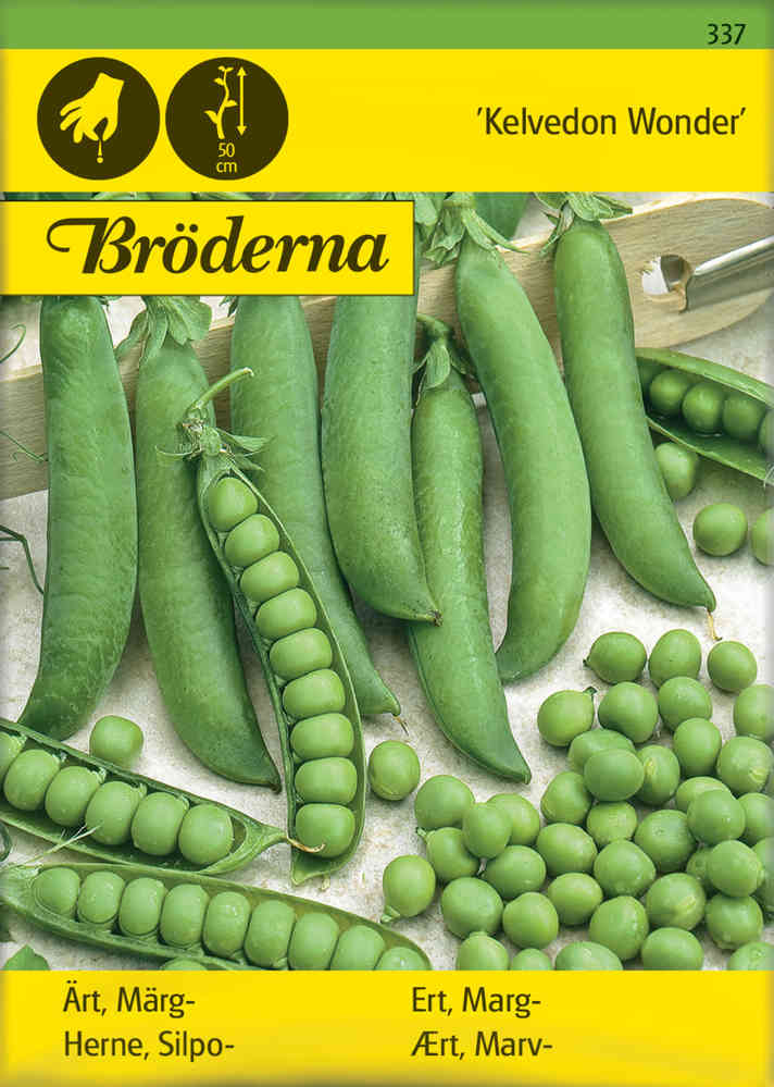 Märgärt 'Kelvedon Wonder'
