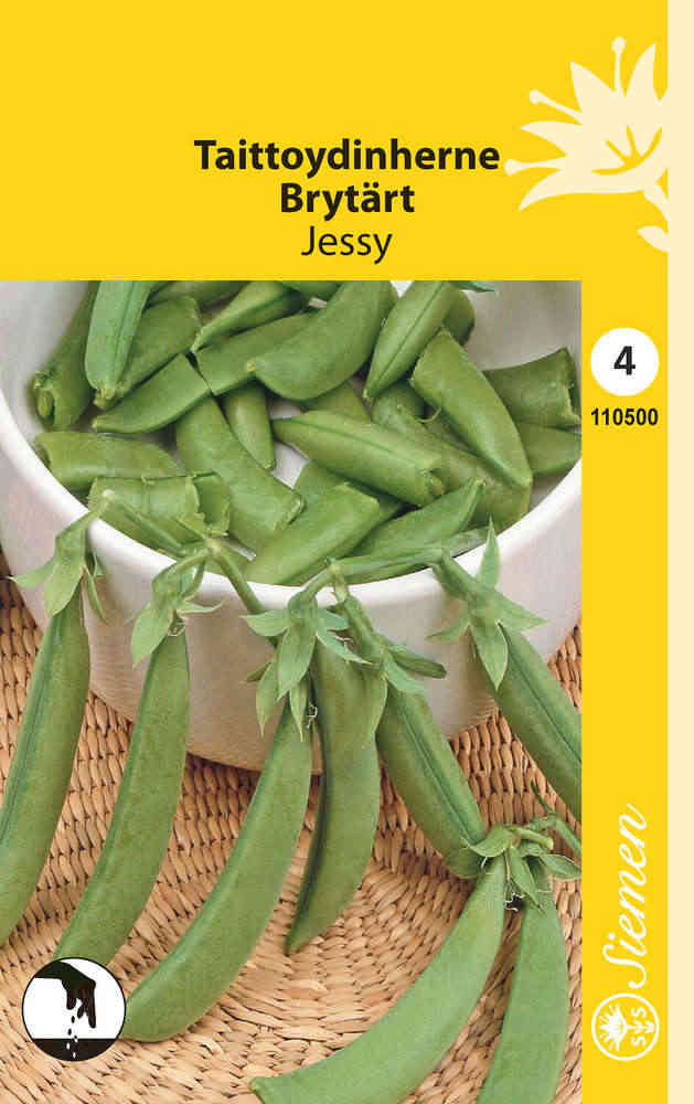 Brytärt 'Jessy'
