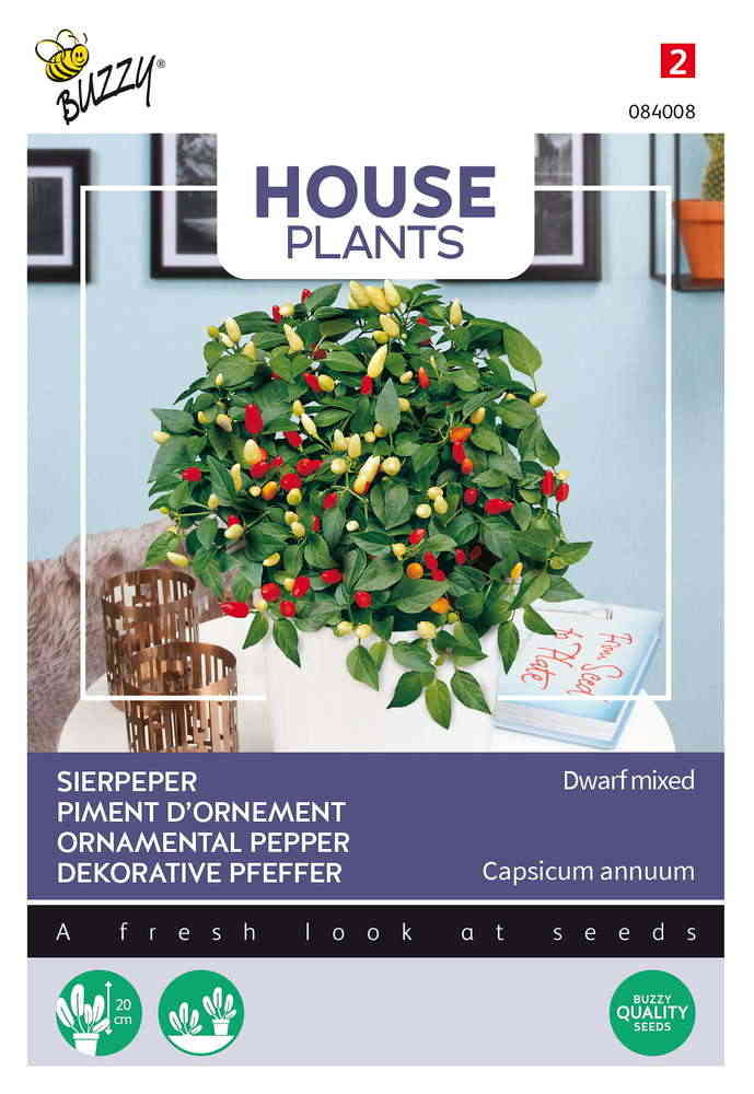 House Plants Prydnadspaprika dvärg mix