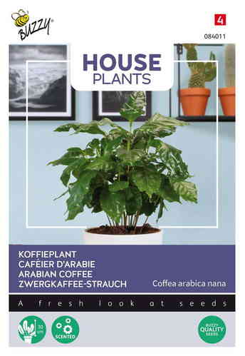 House Plants Arabiankahvi