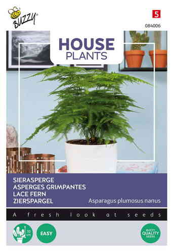 House Plants Unelma