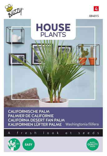 House Plants Presidentinpalmu