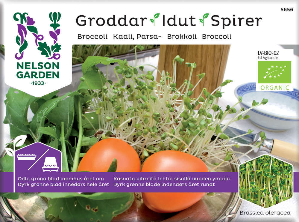 EKO Groddar, Broccoli