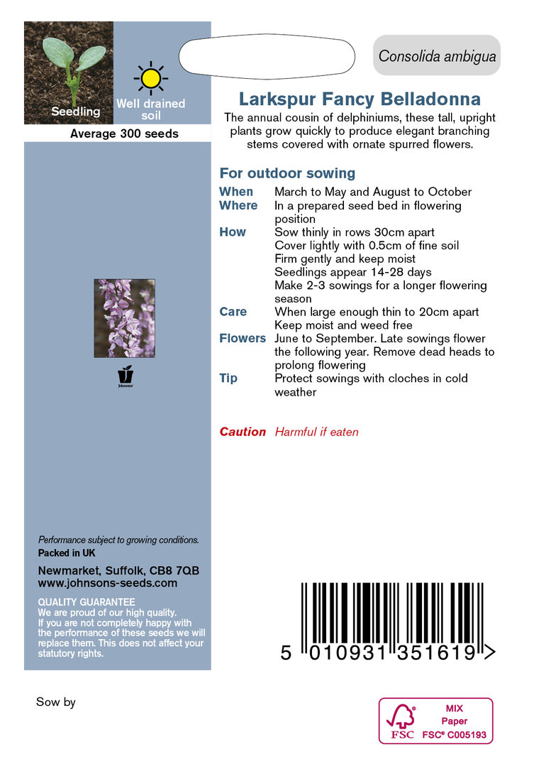 Romersk Riddarsporre 'Fancy Belladonna'