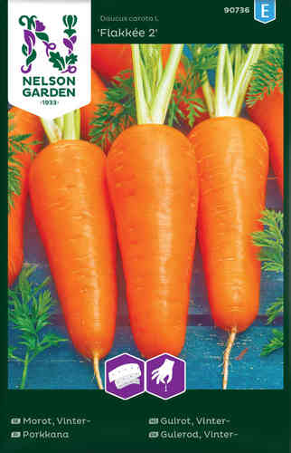 Porkkana 'Flakkée 2', talvilajike kylvönauha