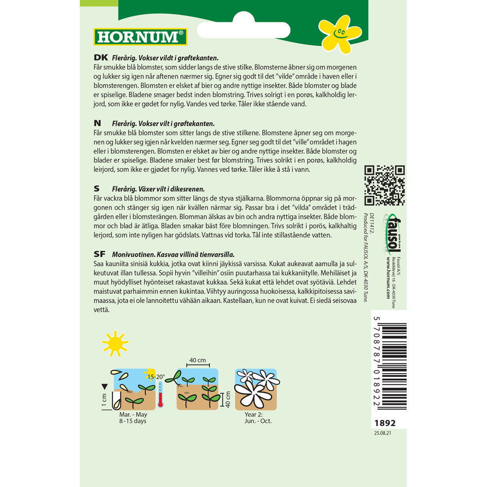 Rotcikoria