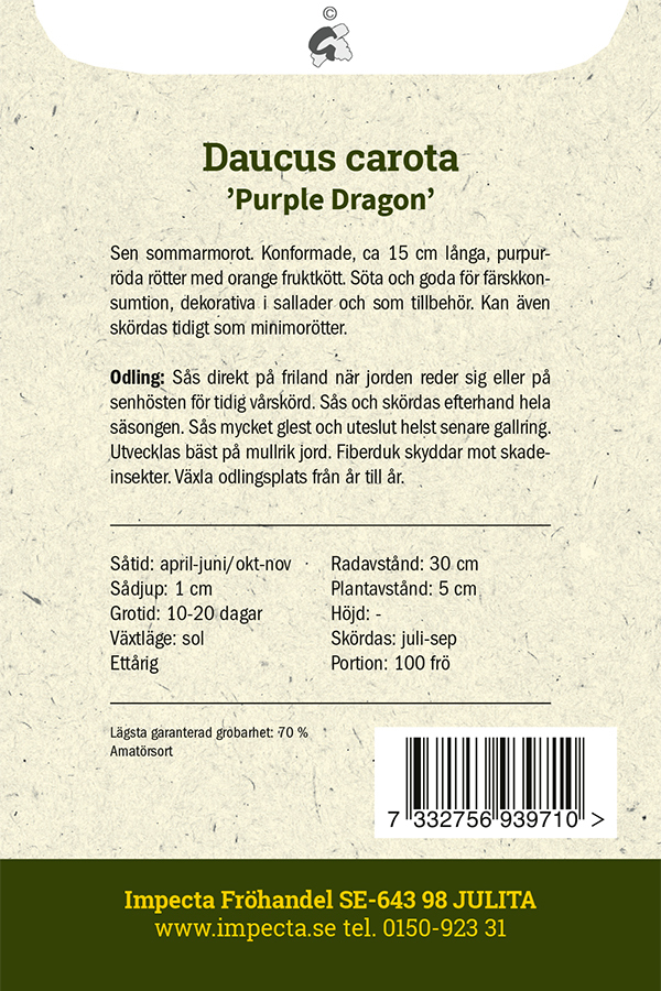 Sommarmorot 'Purple Dragon'