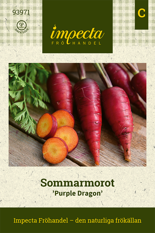 Sommarmorot 'Purple Dragon'