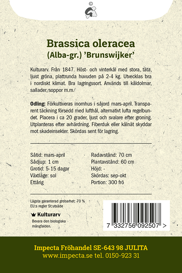 Vitkål 'Brunswijker'