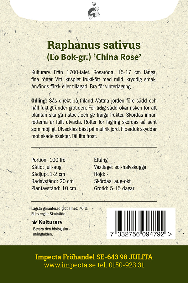 Kinesisk rättika 'China Rose'