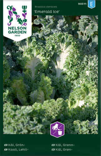Grönkål 'Emerald Ice'