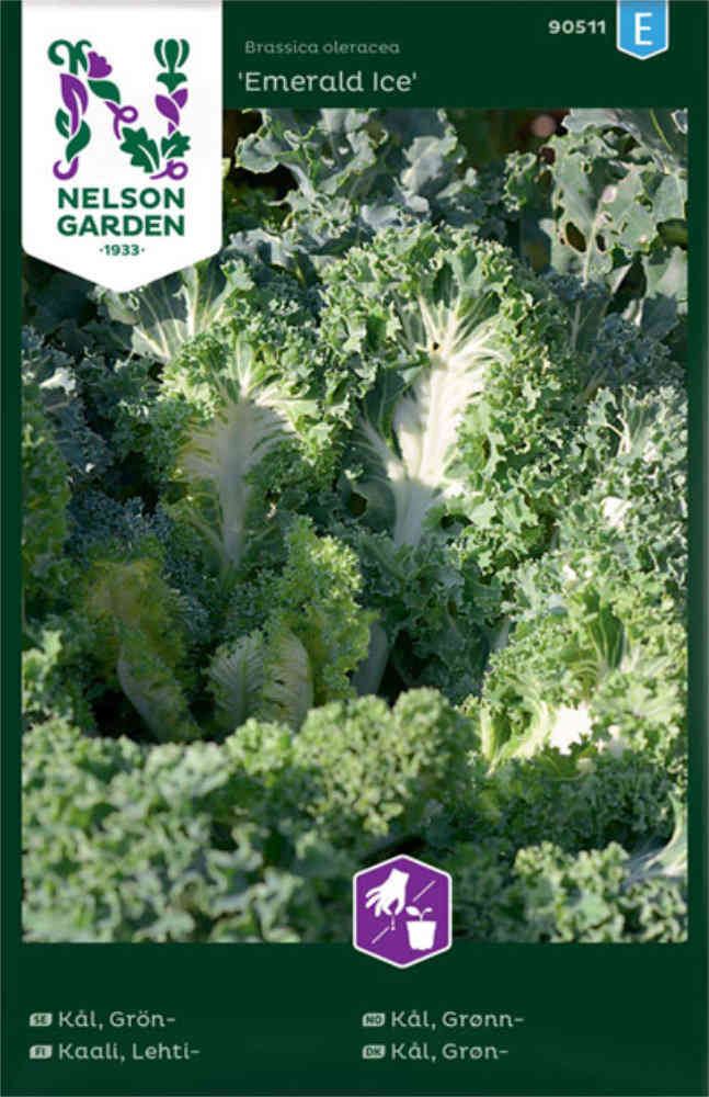 Grönkål 'Emerald Ice'