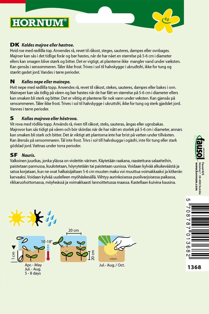 Majrova 'Ronde Witte Roodkop'